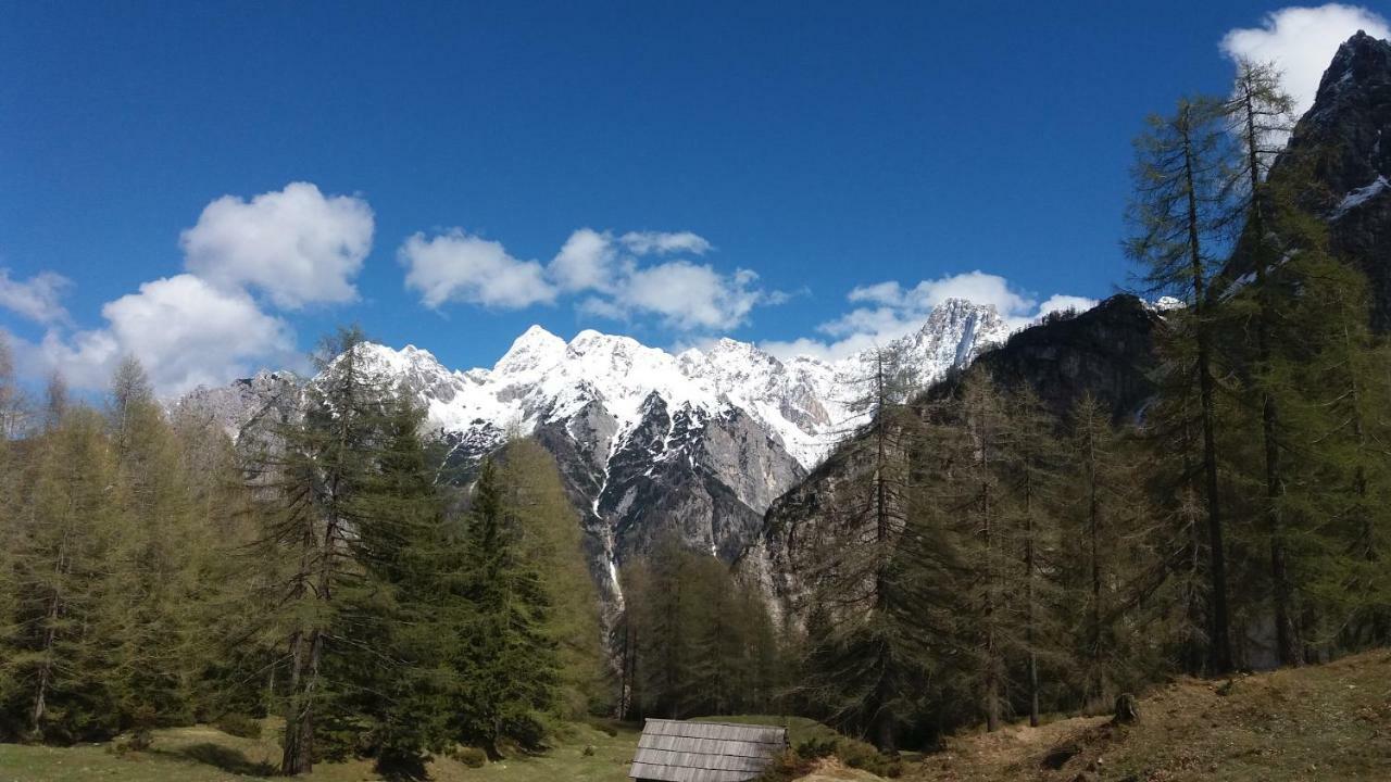 Appleby Apartments Kersnik Bohinj Eksteriør billede